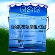 深圳藍盾防水工程有限公司云南分公司